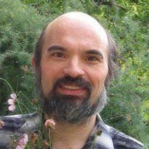 Димитър Пашкулев