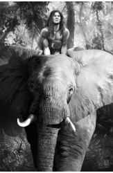 Illustrations. Album (Luxurious Collection Classics)