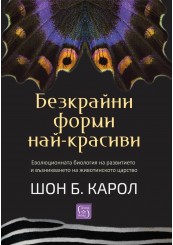 Безкрайни форми най-красиви