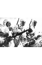 Stalingrad: The Fateful Siege, 1942–1943