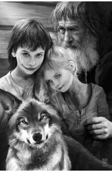 Illustrations. Album (Luxurious Collection Classics)