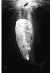 Moby-Dick-foto4
