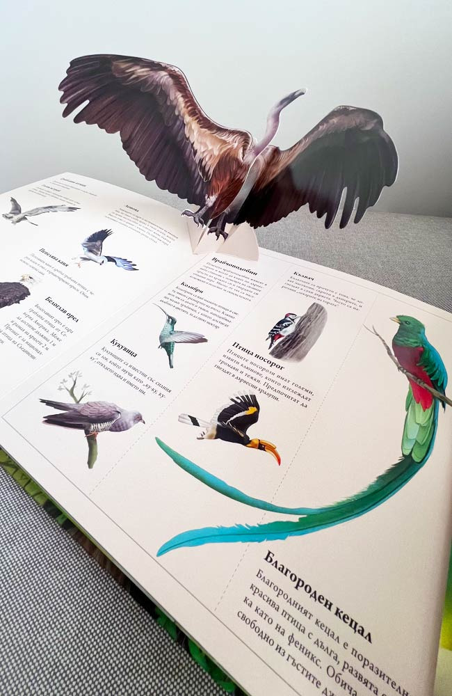 The Big Book of the Animal Kingdom