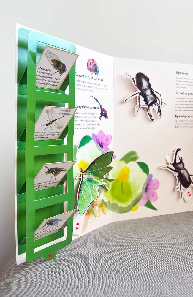 The Big Book of the Animal Kingdom