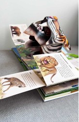The Big Book of the Animal Kingdom