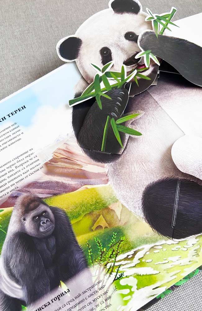 The Big Book of the Animal Kingdom
