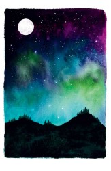 The Cat, Who Taught Zen