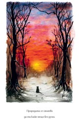 The Cat, Who Taught Zen