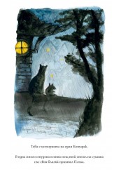 The Cat, Who Taught Zen-foto4