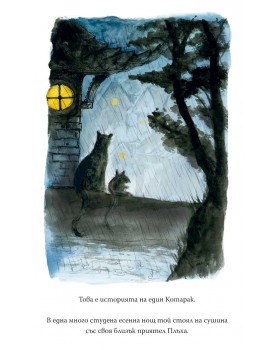 The Cat, Who Taught Zen-foto4