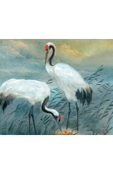 Момичето жерав. По мотиви на японски народни приказки