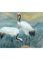 The Crane Girl. Based on Japanese Folktales-foto2