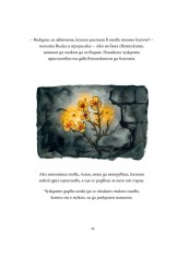 Following the Moon-foto6