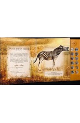 Малка книжка със звуци на африкански животни