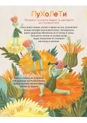 Шмакофокци 2-foto5