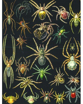 Zoology for Everyone-foto6