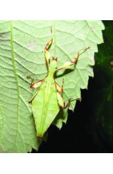 Зоология за всеки