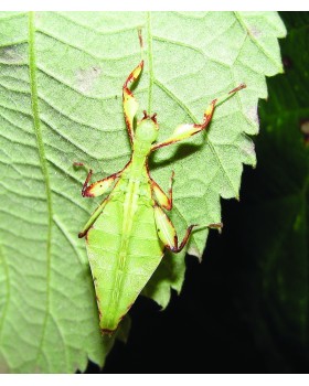 Zoology for Everyone-foto3
