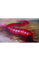 Зоология за всеки