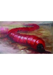 Зоология за всеки-foto2