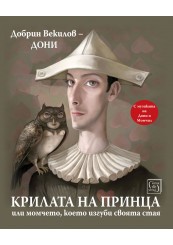 The Wings of the Prince, or the Boy Who Lost His Room