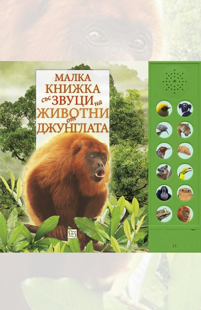 The Little Book of Rainforest Animal Sounds