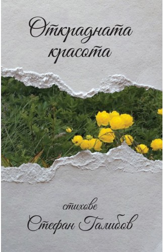 Открадната красота. Стихове