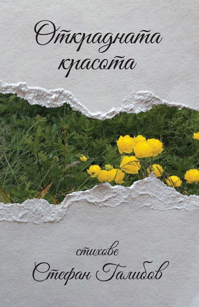 Stolen Beauty. Poems