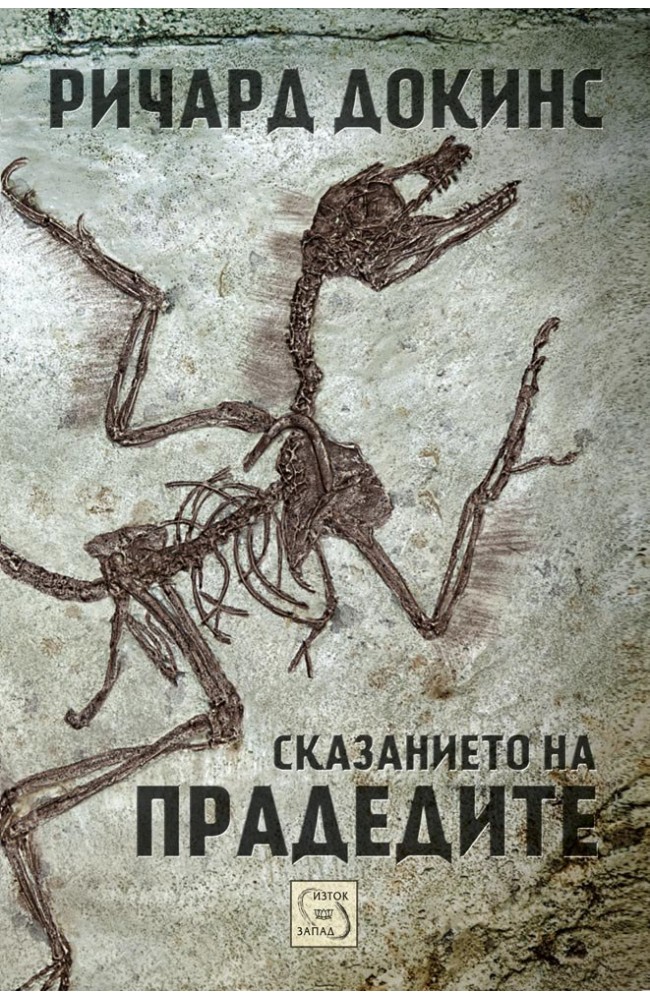 The Ancestor's Tale: A Pilgrimage to the Dawn of Evolution