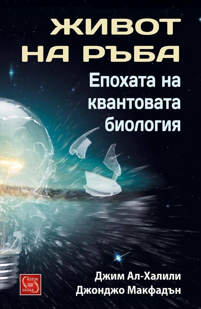 Life on the Edge: The Coming of Age of Quantum Biology