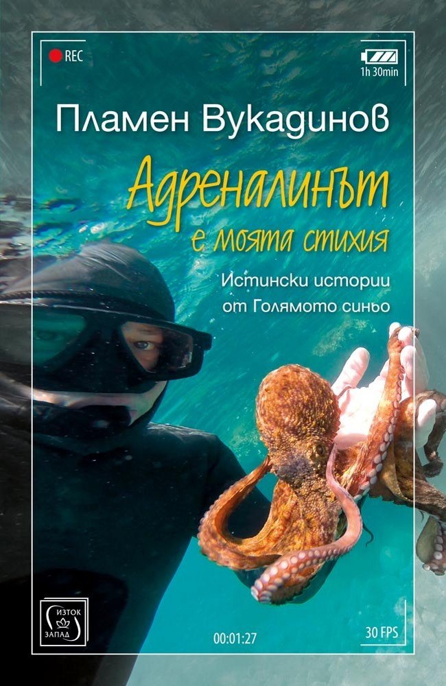 Diving is my Passion