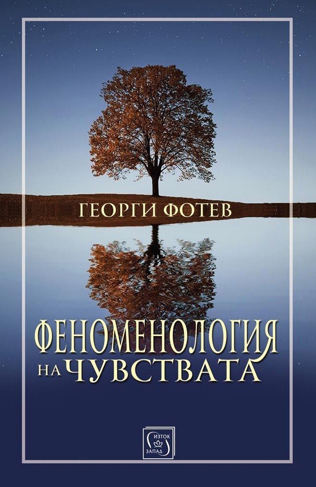 Phenomenology of Feelings