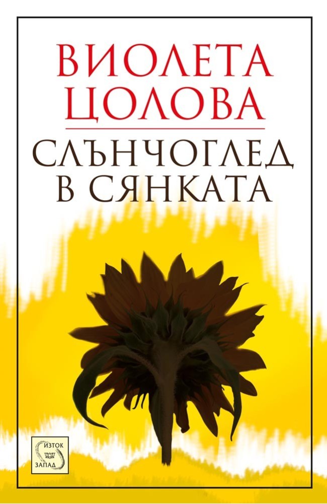 Sunflower in the shade