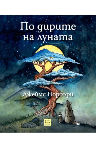 По дирите на луната