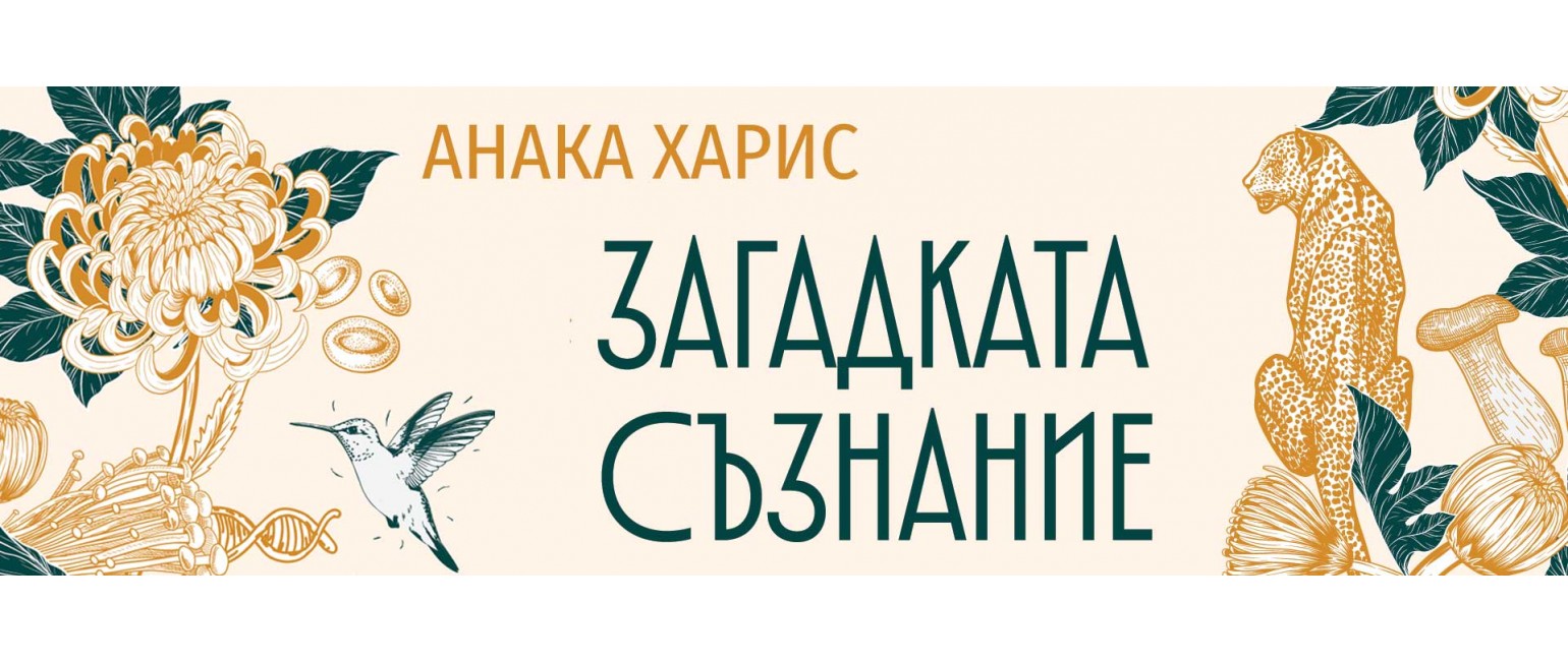 Загадката съзнание