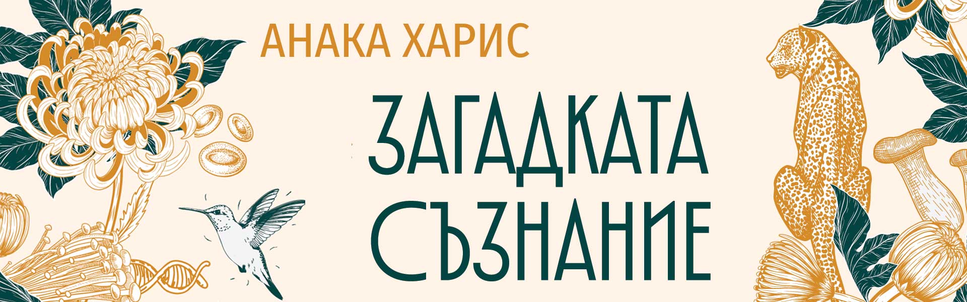 Загадката съзнание